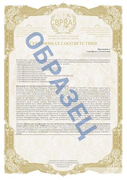 Образец Приложение к СТО 01.064.00220722.2-2020 Шадринск Сертификат СТО 01.064.00220722.2-2020 